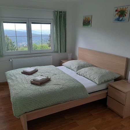 Willa Naproti Klinovci Jáchymov Zewnętrze zdjęcie
